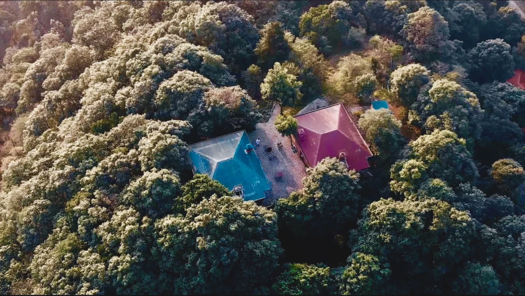 1DC65653-6407-4EEA-A1FB-E49E3EE62B86